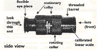 Bitmap Image